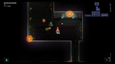 battle standard gungeon.